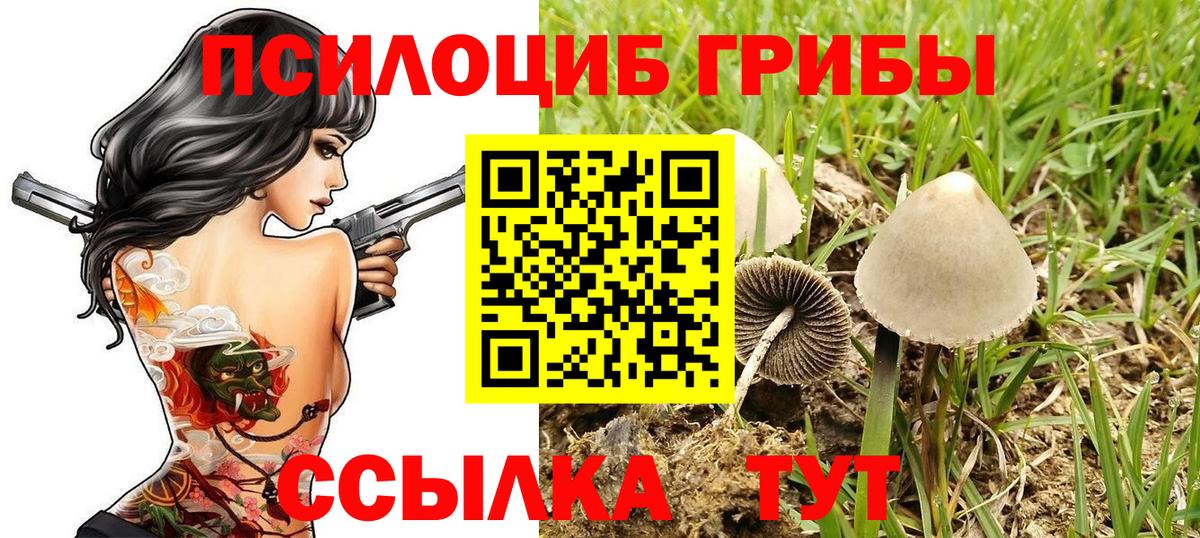 Псилоцибиновые грибы MAGIC MUSHROOMS  Галлюциногенные грибы GOLDEN TEACHER  как найти закладки  Астрахань  Вход с VPN 
